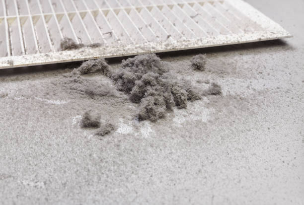 Best Affordable Duct Cleaning Services  in Thorndale, TX